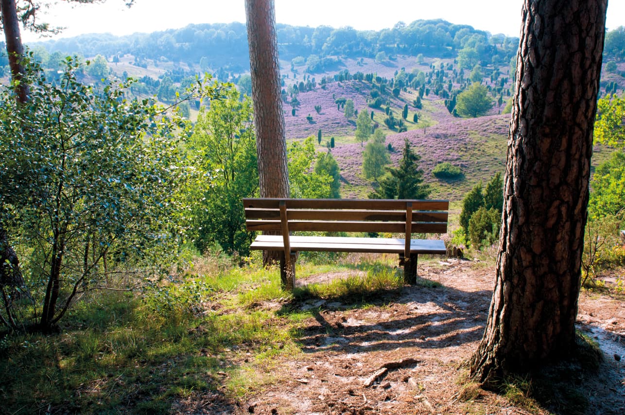 Blick in den Totengrund in der Lüneburger Heide