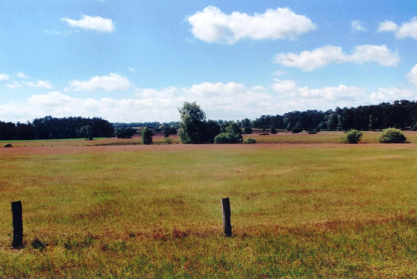 Ausblick in die Heidelandschaft