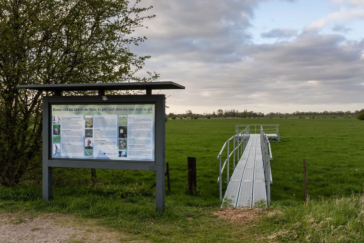 Mobiler Steg in das Naturschutzgebiet zur Schachblumenblüte oder auch Schachbrettblumenblüte Ende April, Anfang Mai