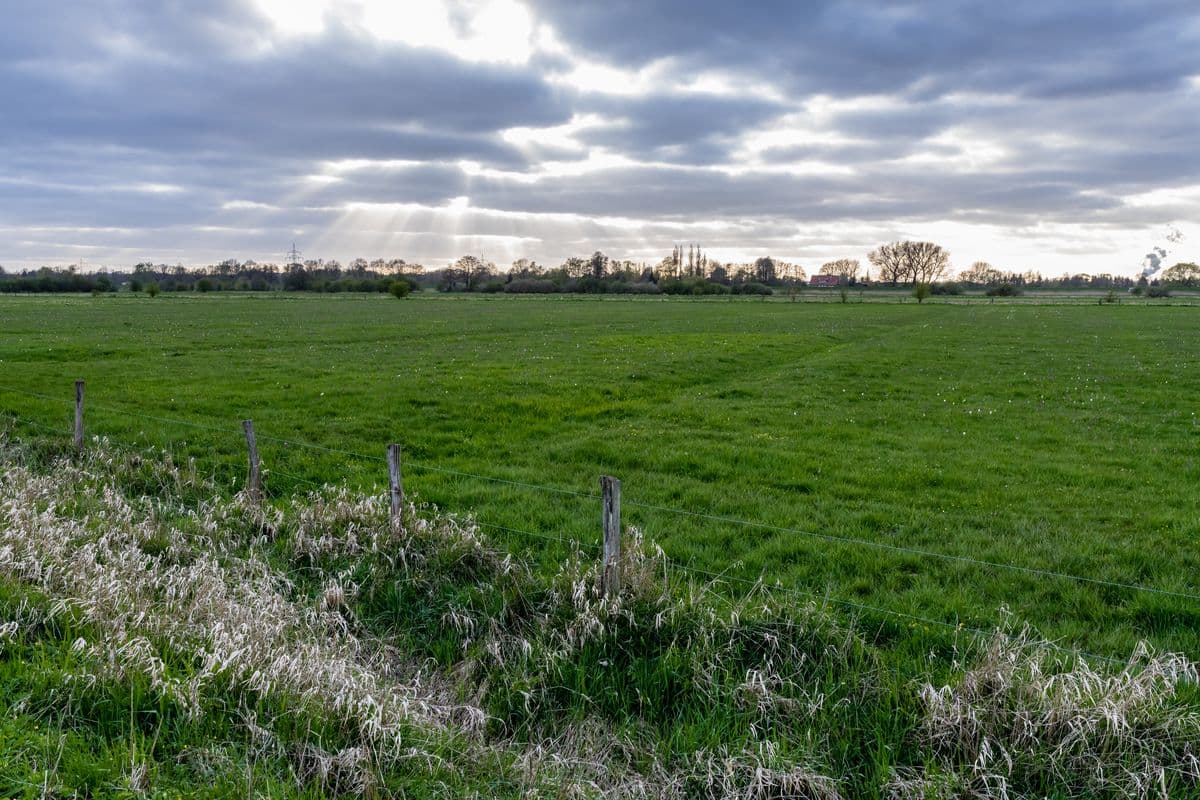 Naturschutzgebiet Untere Seeveniederung