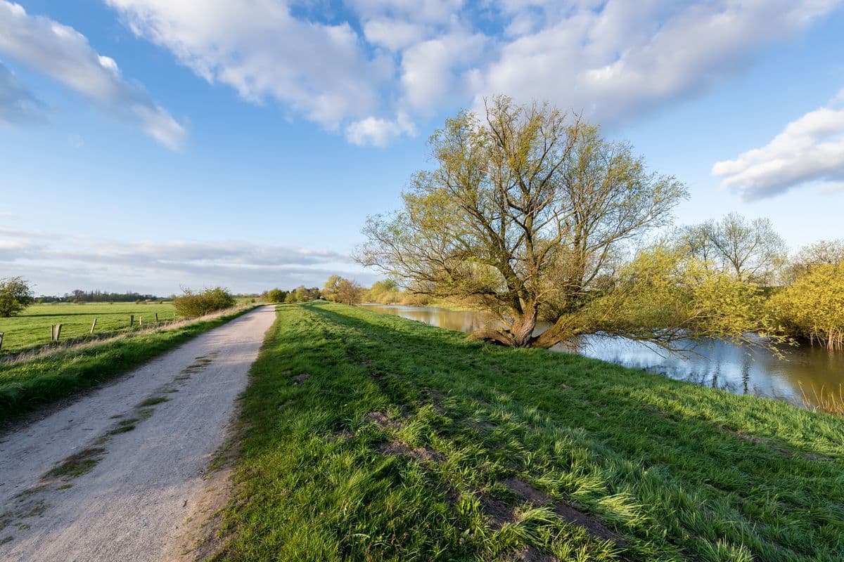 Seeve Radweg direkt an der Schachblumenblüte