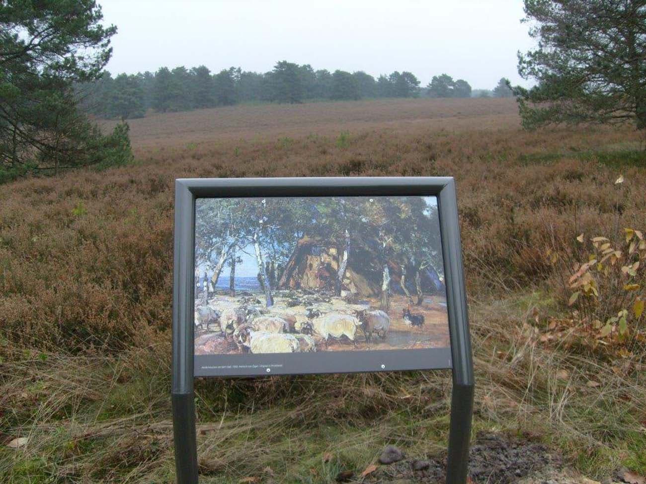 Informationstafel im Naturpark Südheide