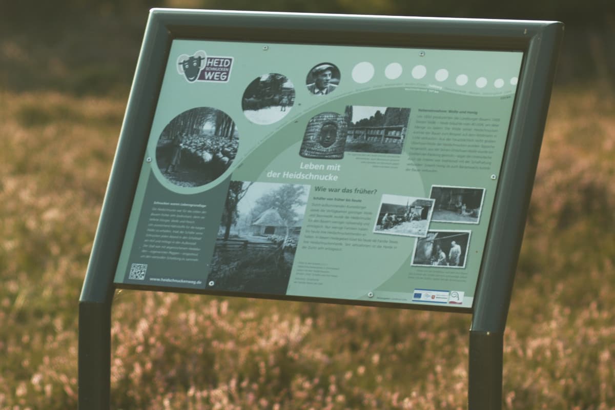 Informationstafel am Heideschnuckenweg