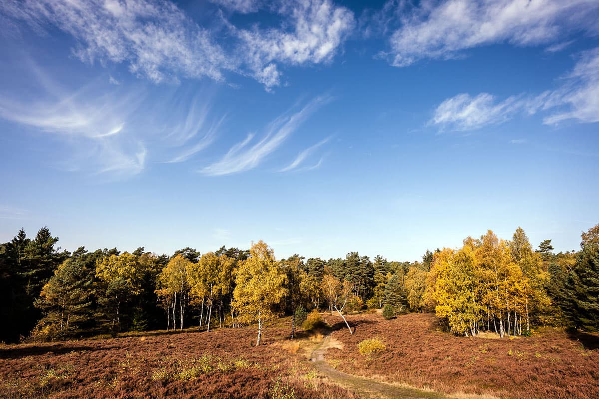 Wandern im Herbst in der Lüneburger Heide
