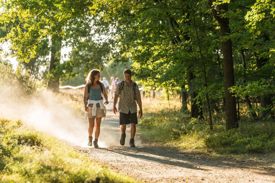 Wanderweg in der Lüneburger Heide