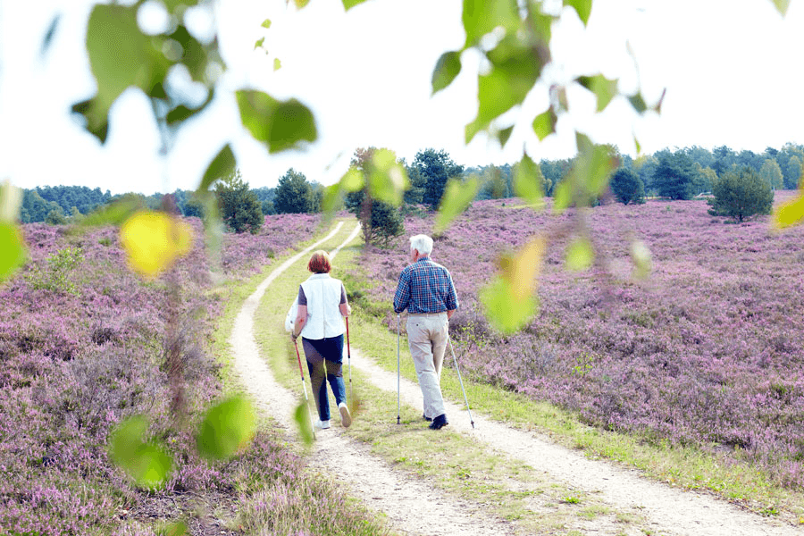 Wanderweg in Schneverdingen