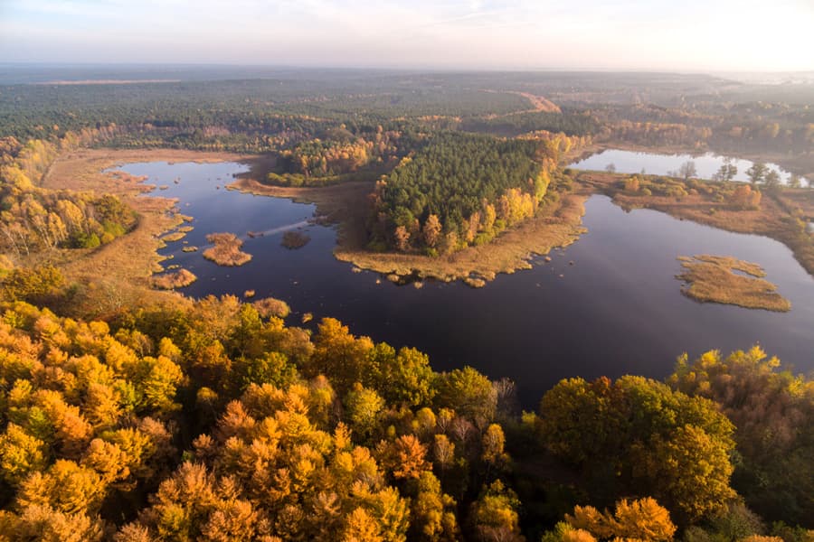 Wildecker Teiche in der Südheide