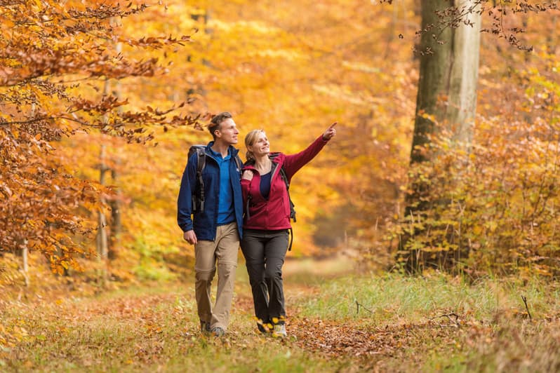 eine herbstliche Wanderung im Blättermeer auf dem Heidschnuckenweg