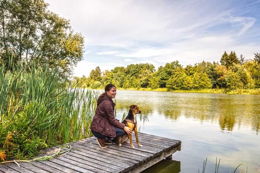 Urlaub mit Hund am See