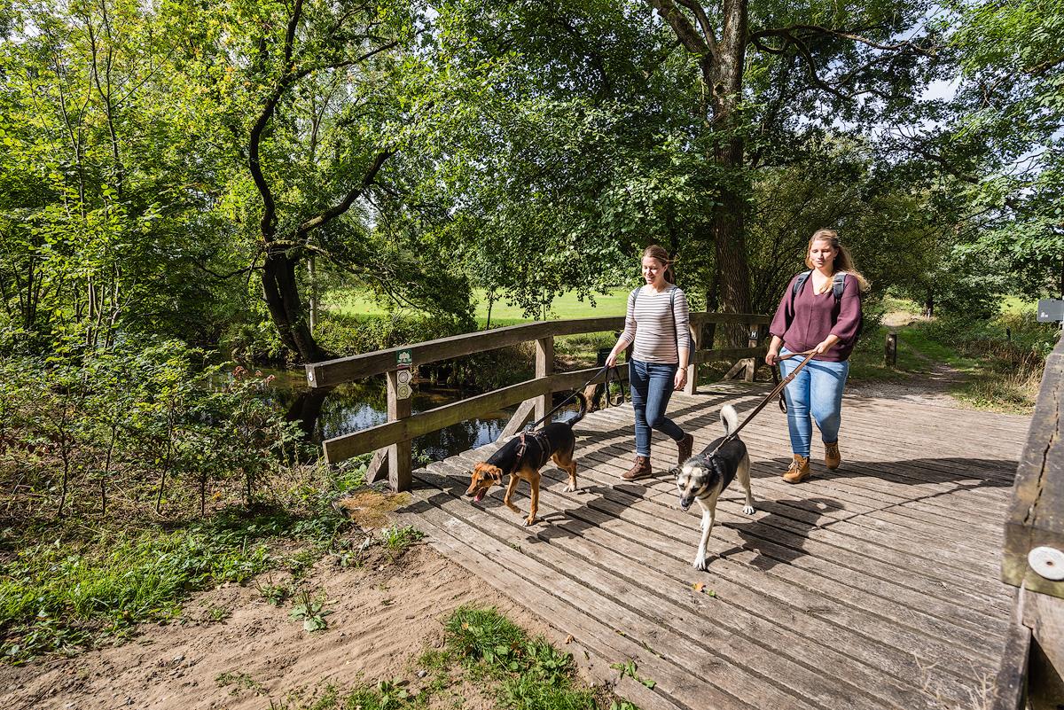 Die Lueneburger Heide ist der ideale Urlaubsort für einen Kurzurlaub mit Hunden. Hier können Hund und Herrchen wunderbar wandern und entspannen.