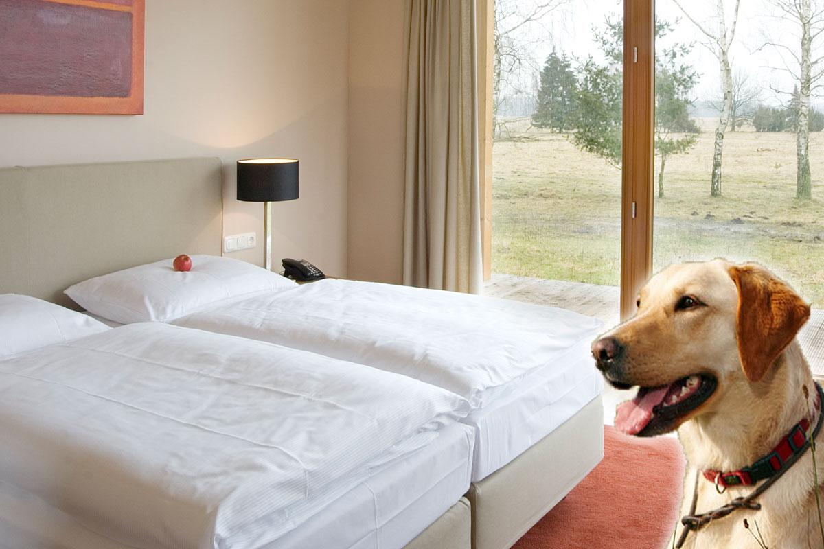 Hotels & guest houses for holidays with dogs