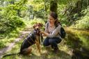 lüneburger heide für urlaub mit hund in eingezäunten grundstücken