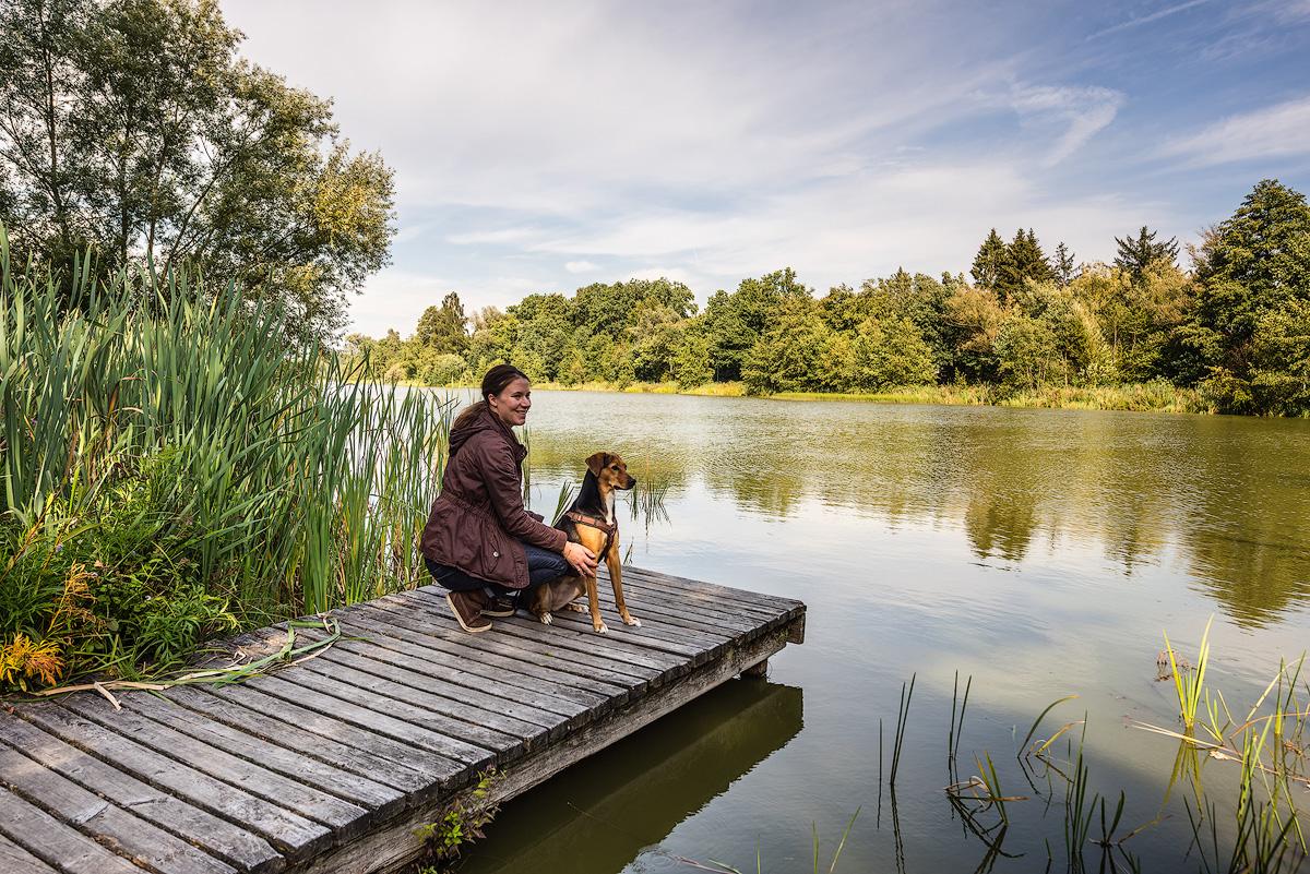Die Lueneburger Heide ist der ideale Urlaubsort für einen Kurzurlaub mit Hunden. Hier können Hund und Herrchen wunderbar wandern und entspannen.