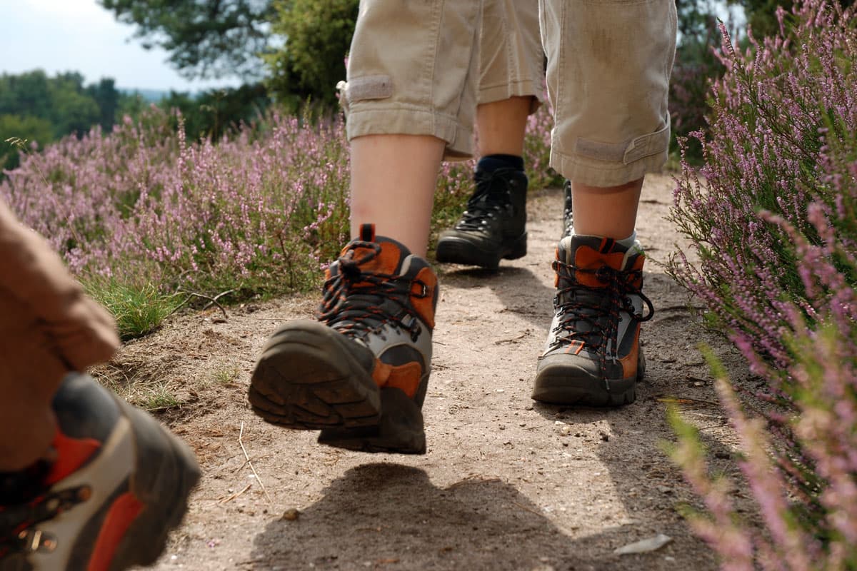 Wandern Lüneburger Heide