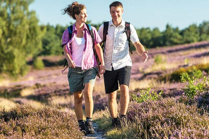 Wandern Lüneburger Heide auf dem Wanderweg Heidschnuckenweg