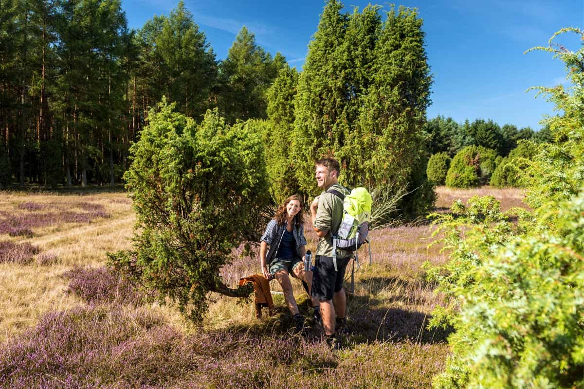 Wandern auf den Wanderwegen der Lüneburger Heide