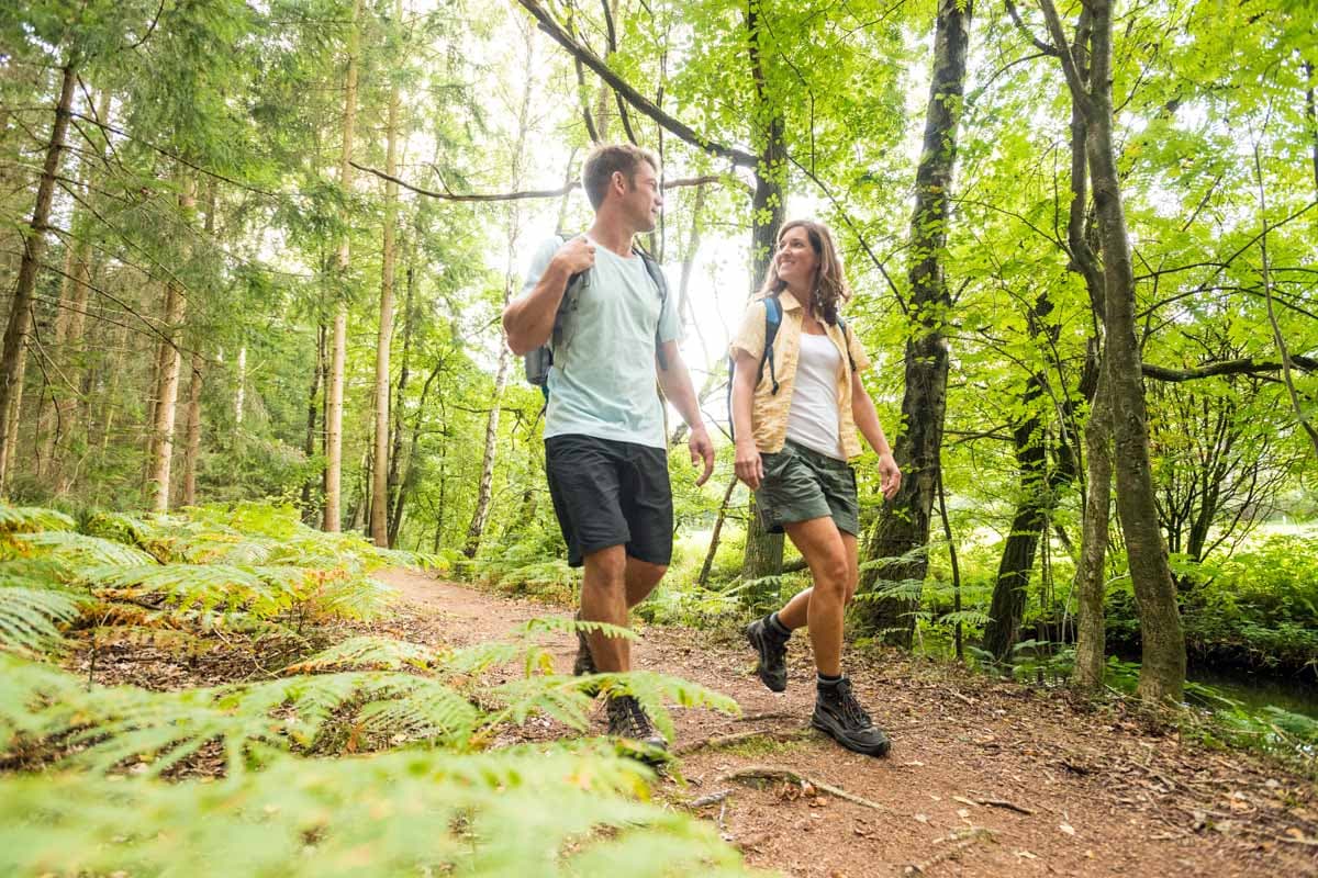 Wandern in der Lüneburger Heide