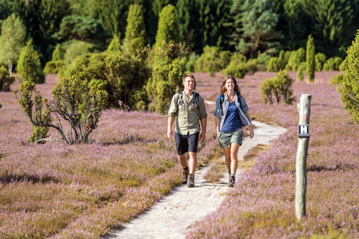 Wandern auf den Wanderwegen der Lüneburger Heide
