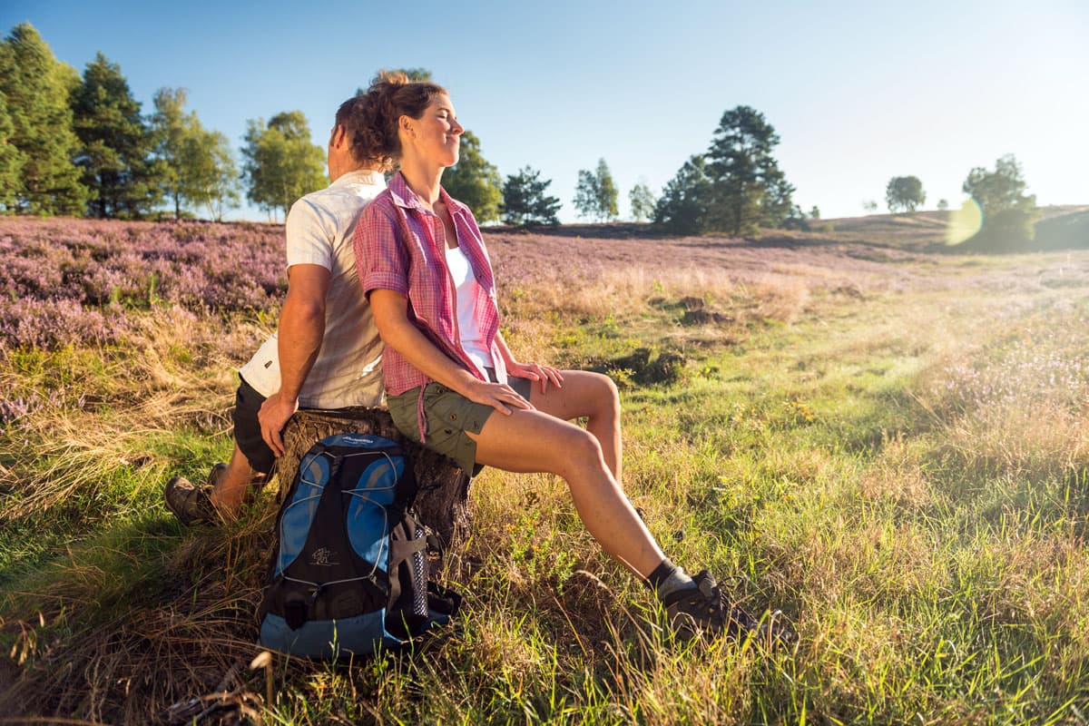 Wandern Lüneburger Heide