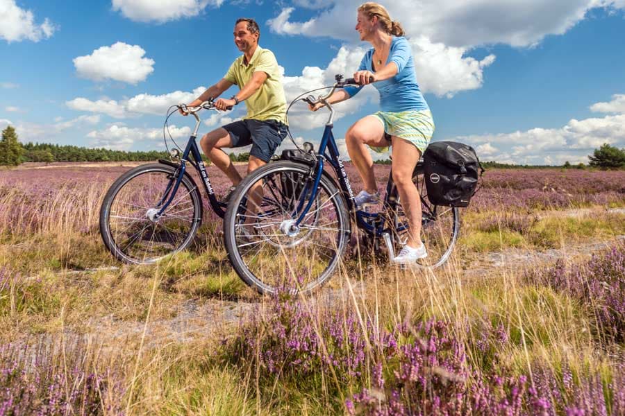 Fernradwege für mehrere Tage durch die Lüneburger Heide