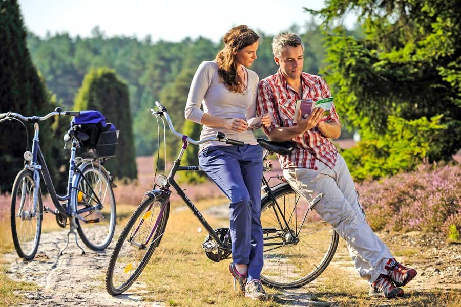 Day cycle tours on Lueneburg heath