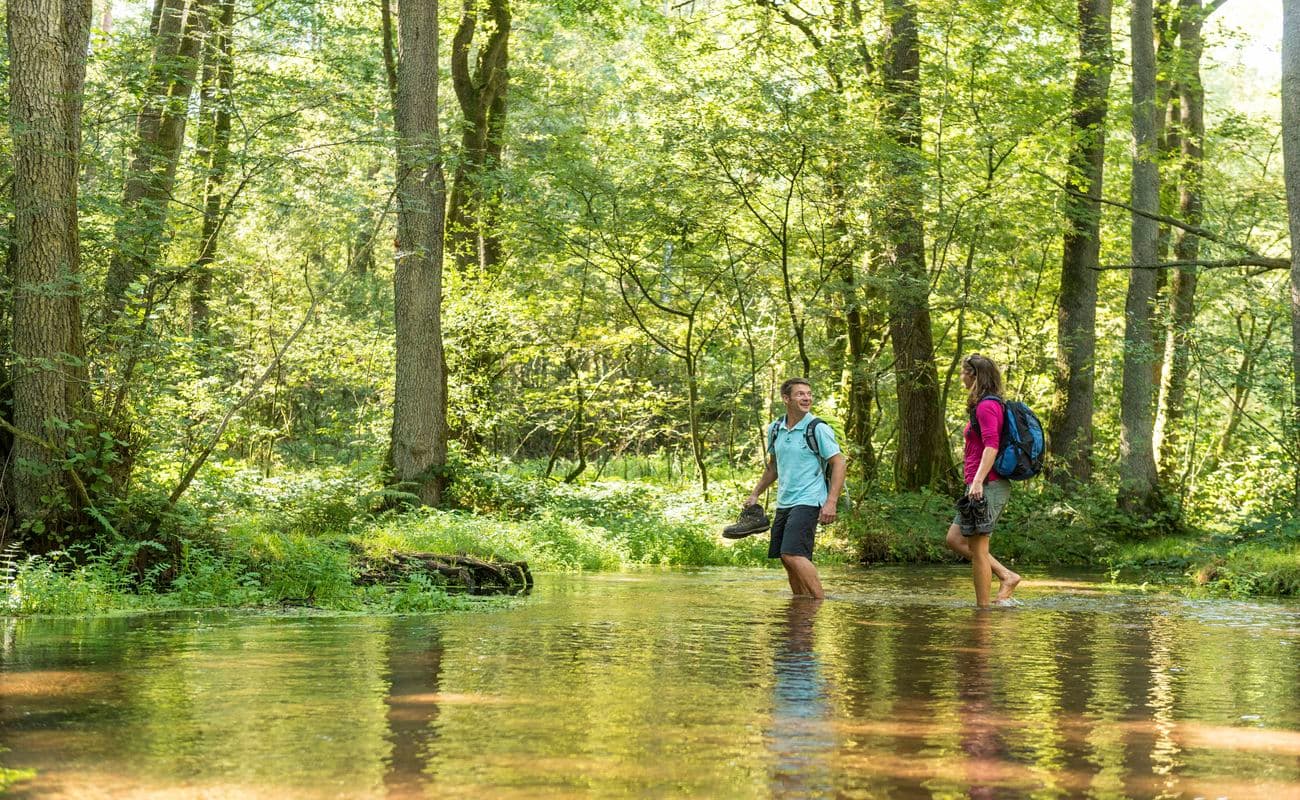 barfuss die natur geniessen