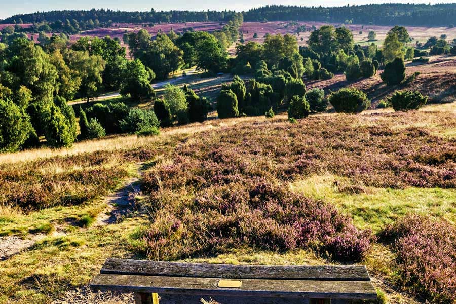 Blick vom Turmberg in die Heide