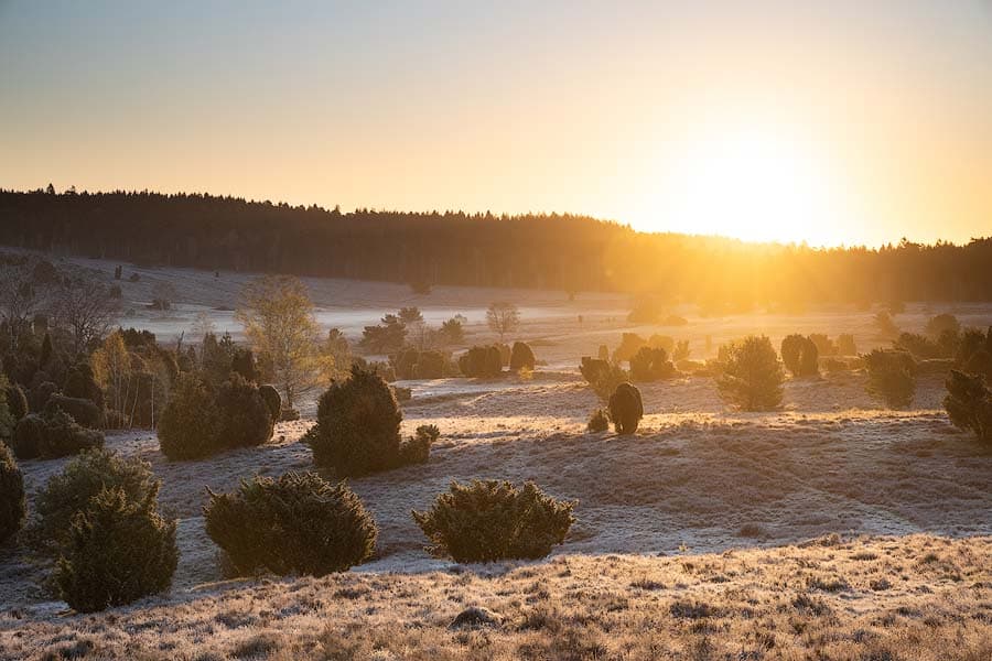 Sonnenaufgang am Turmberg im Winter