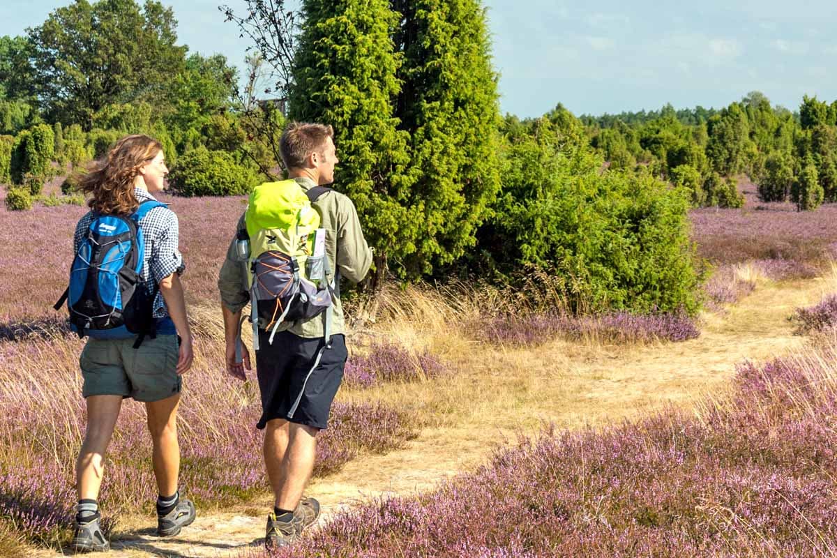 Wandern in der Lüneburger Heide