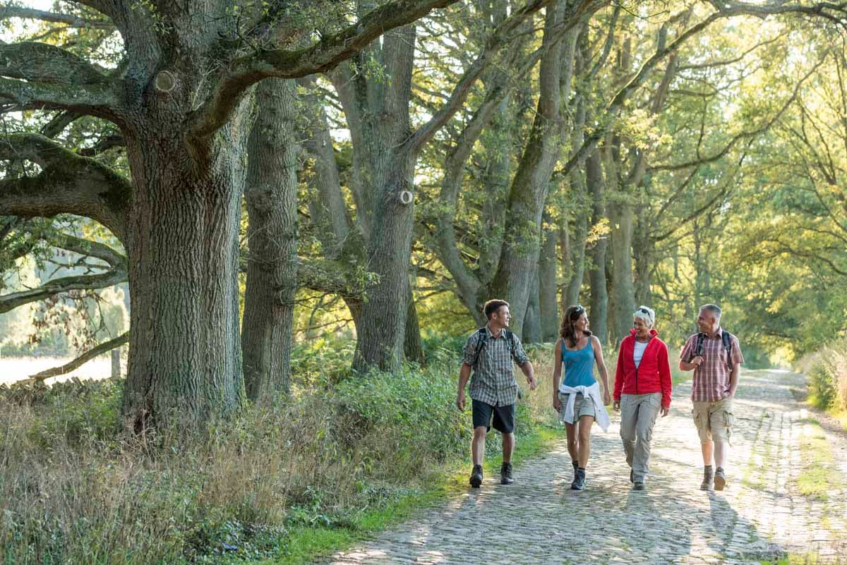 Kurz vor Wilsede im Naturschutzgebiet Lüneburger H