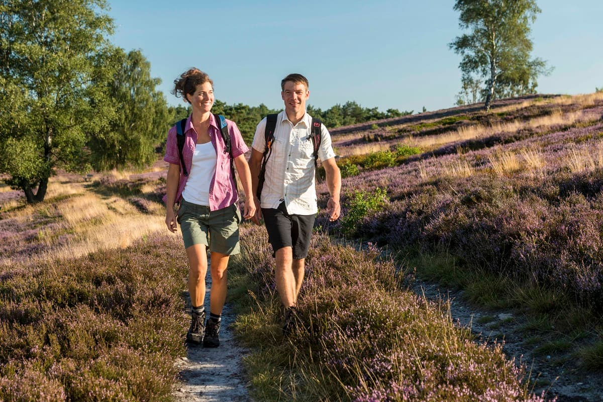 Wandern in der Heide