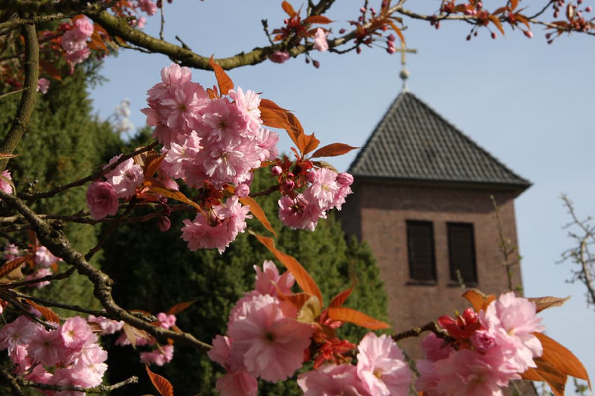 Kirche in Handeloh