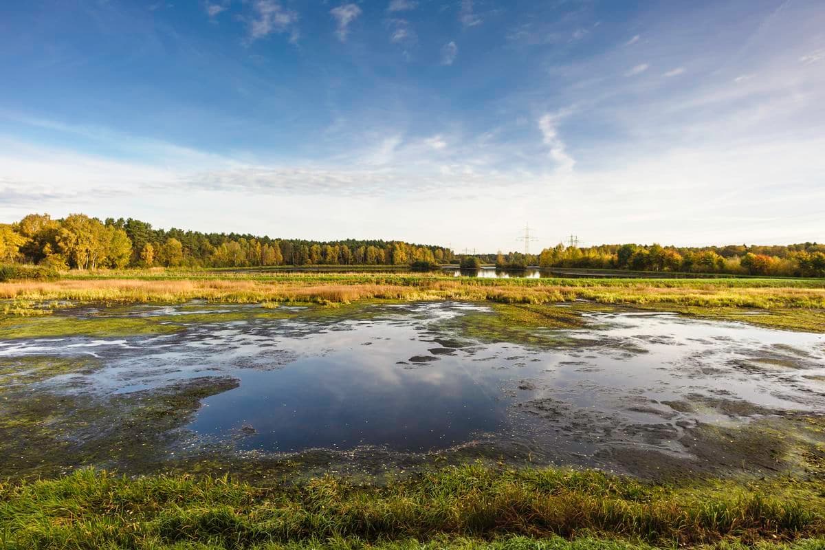 Aschauteiche bei Eschede