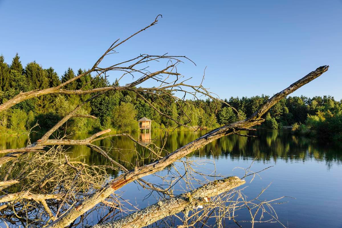 Idylle an Angelbecks Teich