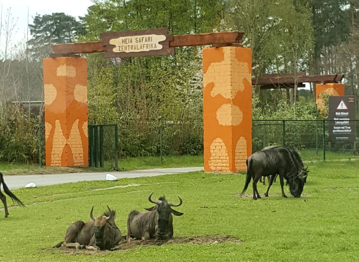 Heia Safari im Serengeti Park Hodenhagen