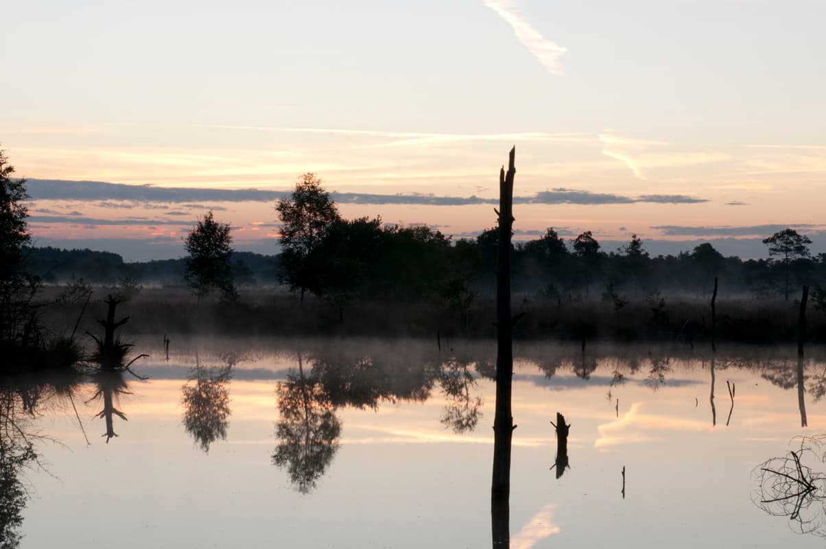 Das Pietzmoor bei Sonnenuntergang