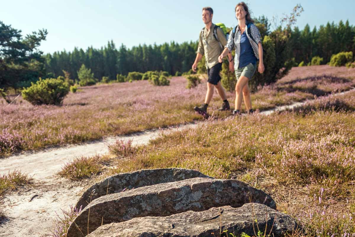 Wandern auf den Wanderwegen der Lüneburger Heide