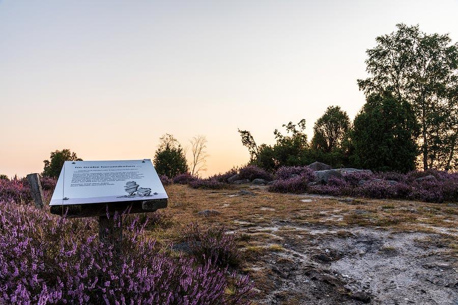 Hannibals Grab bei Wilsede im Sonnenaufgang zur Heidebluete in der Lueneburger Heide