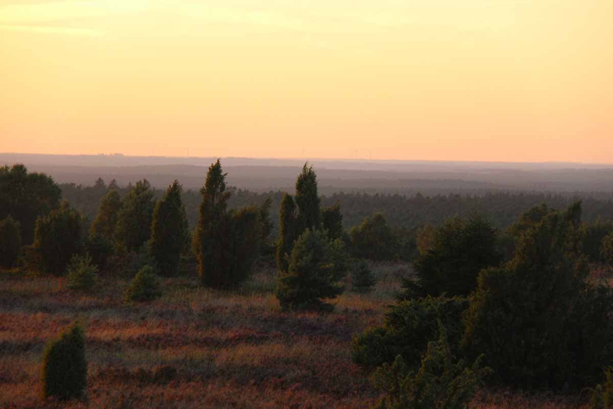 Sonnenuntergang am Wilseder Berg