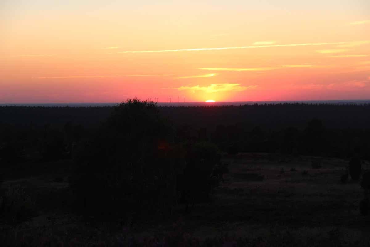 Sonnenuntergang am Wilseder Berg