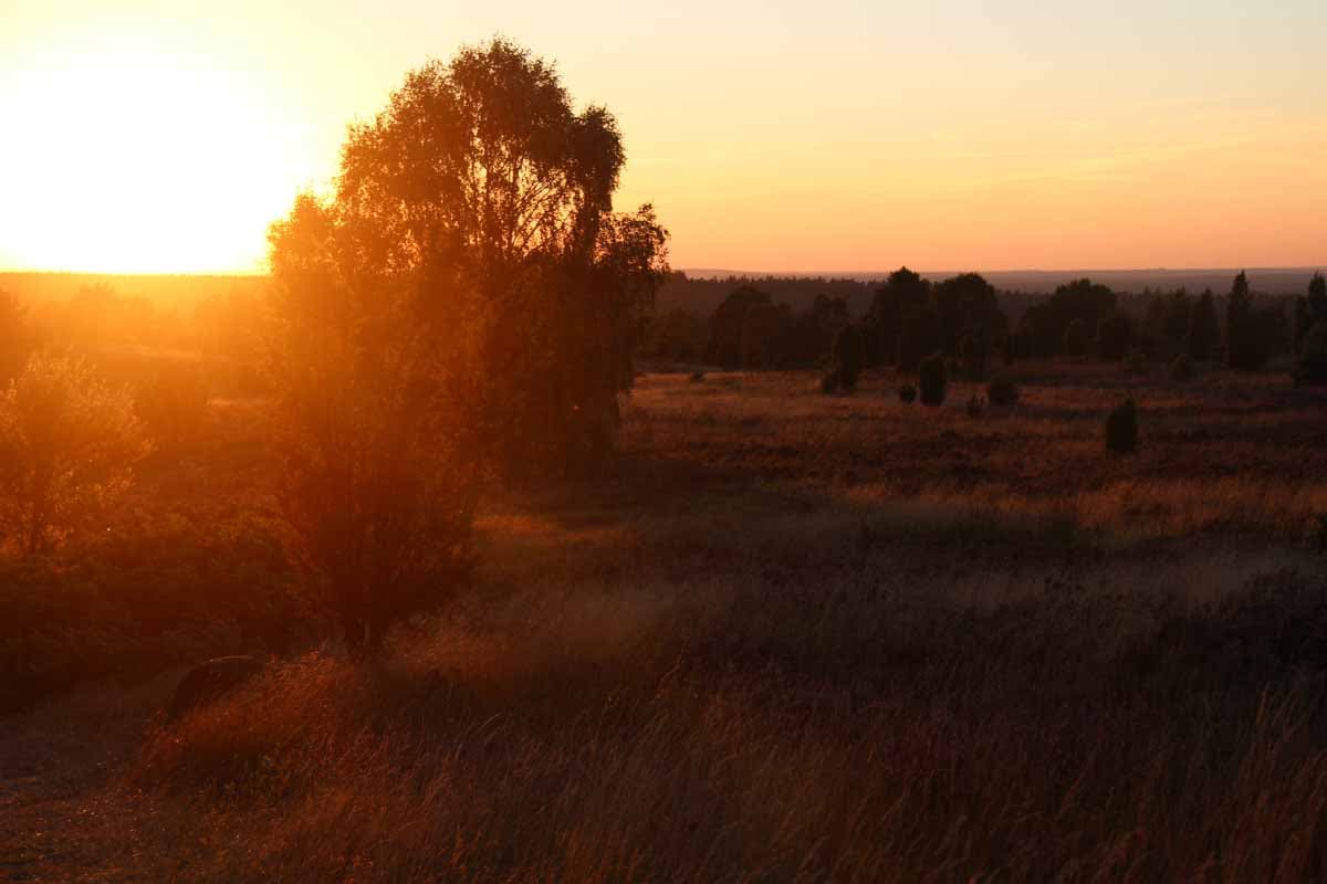 Sonnenuntergang am Wilseder Berg