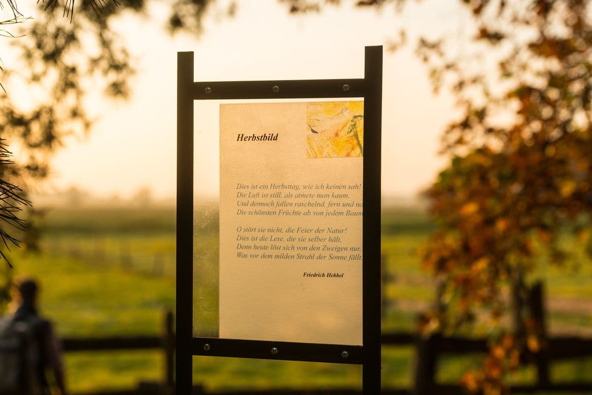 Lyrikpfad am Aller-Radweg bei Wietze