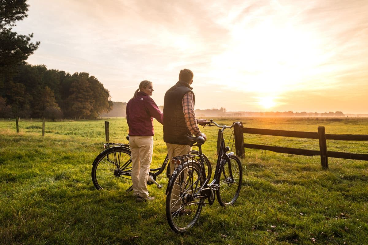 Sonnenuntergang an der Hornbosteler Hutweide am Aller-Radweg bei Wietze