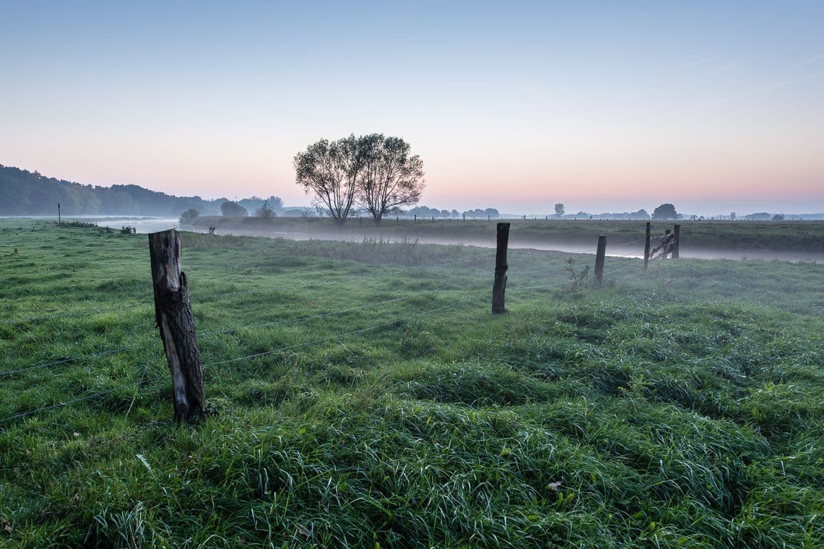 Aller bei Wietze im Herbst in der Lüneburger Heide
