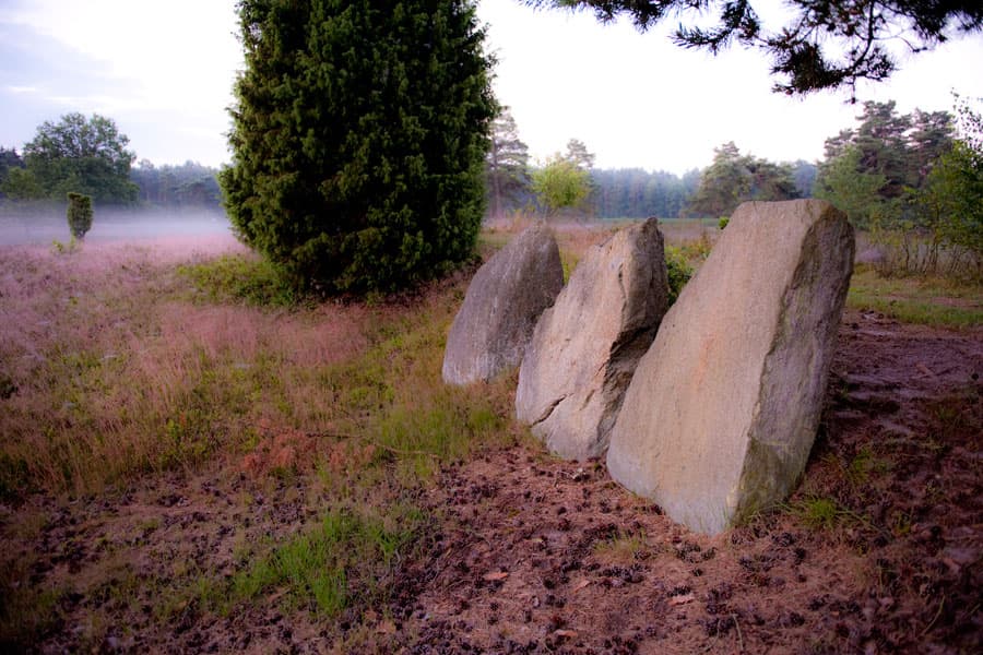 Oldendorfer Totenstatt Lüneburger Heide