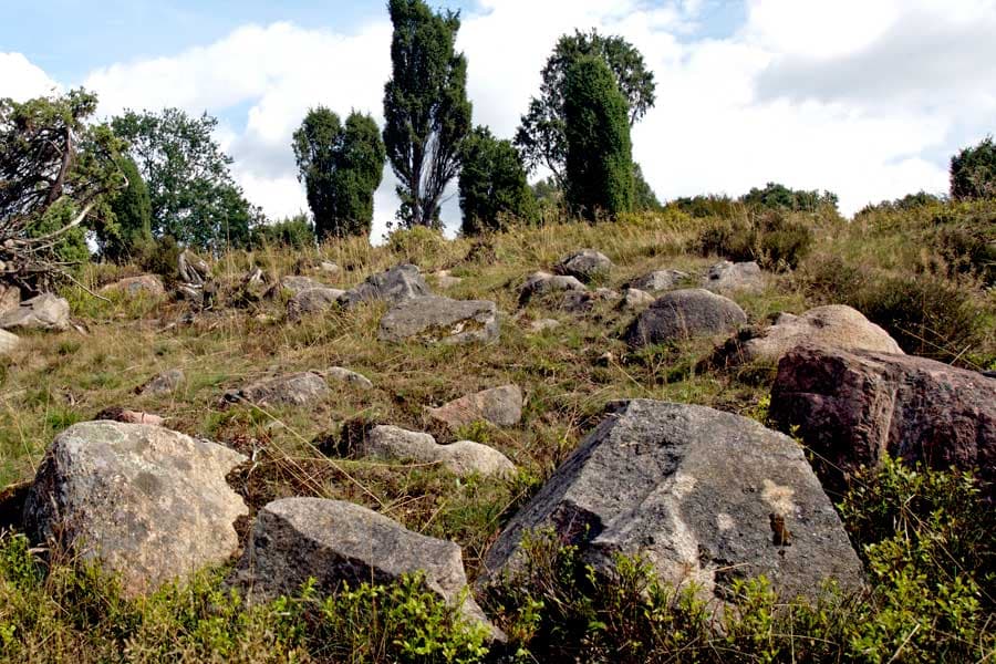 Steingrund in der Lüneburger Heide