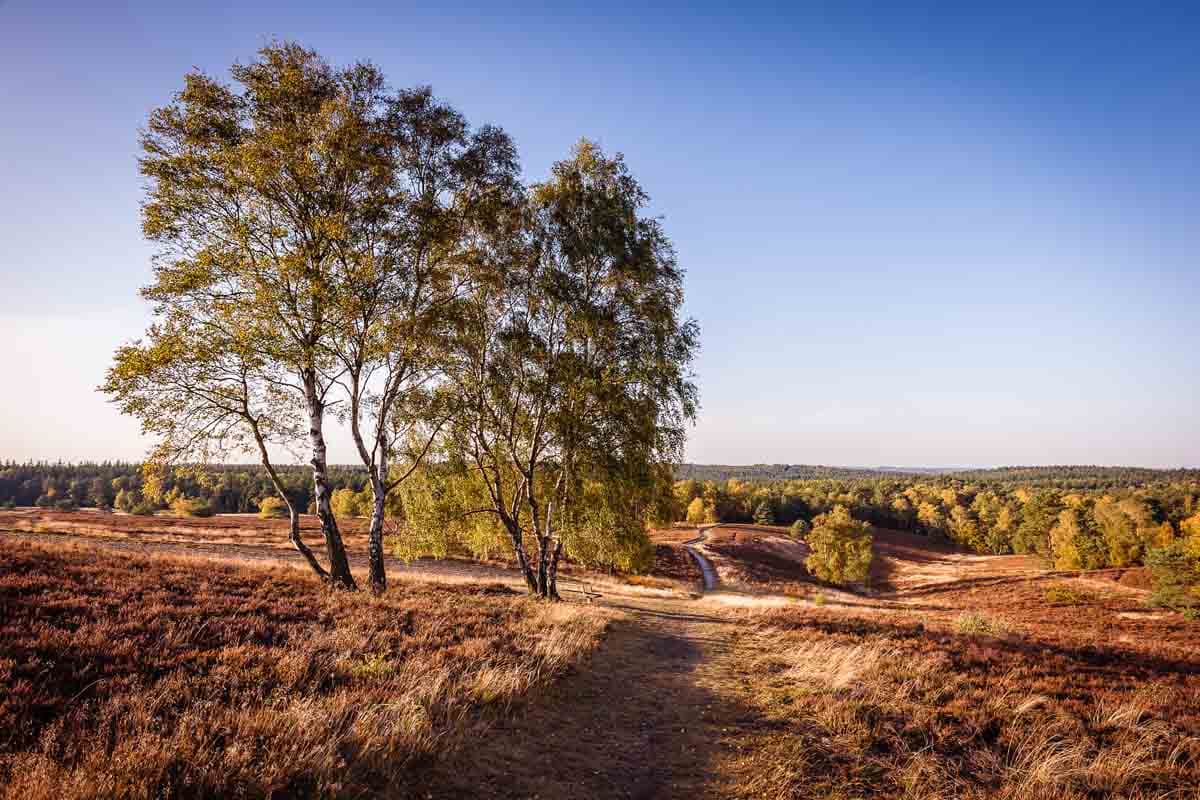 3. Gesucht ist der zweithöchste Berg der Lüneburger Heide.