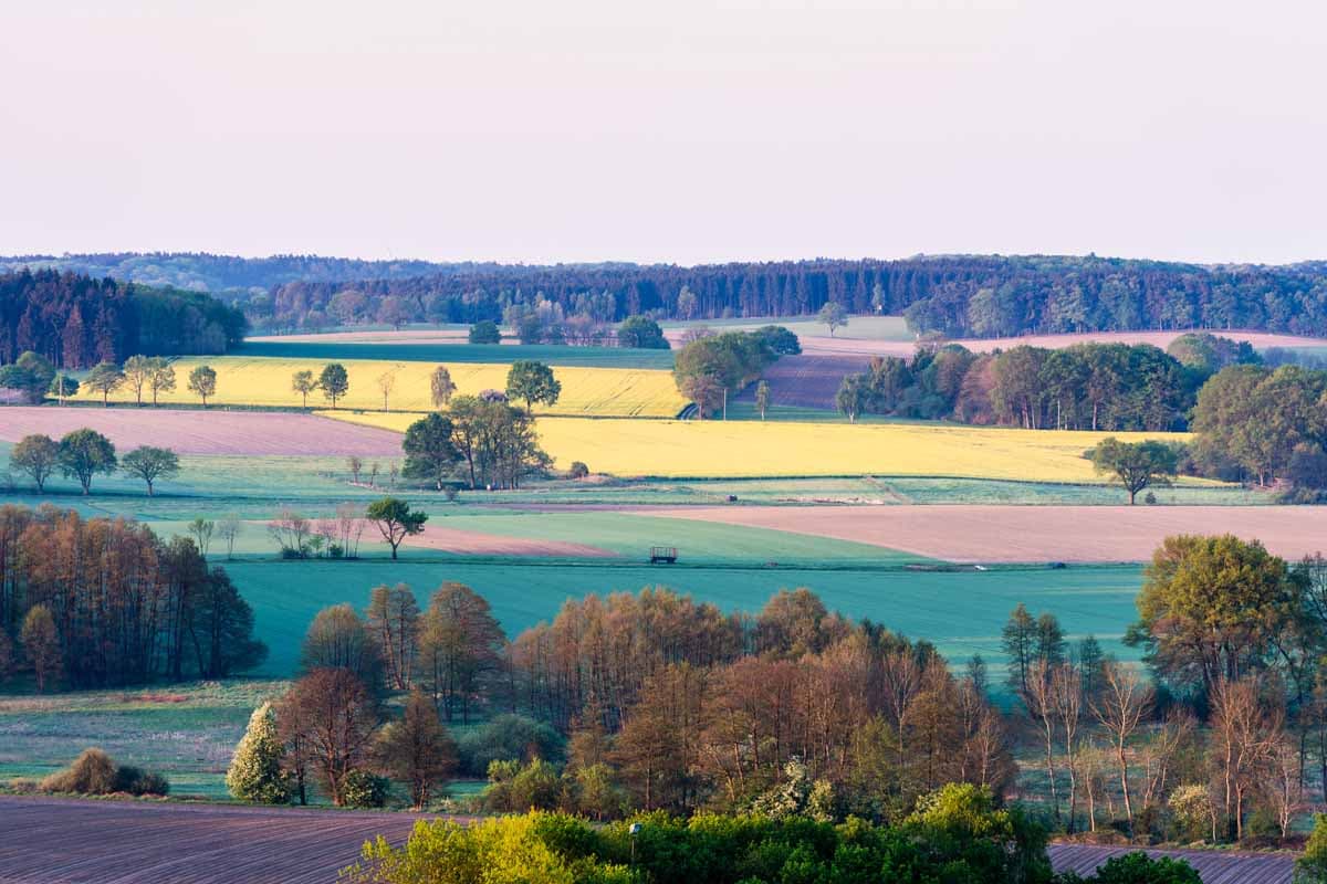 5. Von welchem Berg (Aussichtsturm) in Salzhausen hat man diese tolle Aussicht?