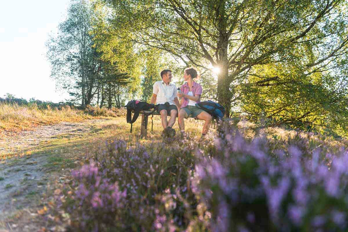 Der Heidschnuckenweg wurde 2014 zum schönsten Wanderweg Deutschlands gewählt.