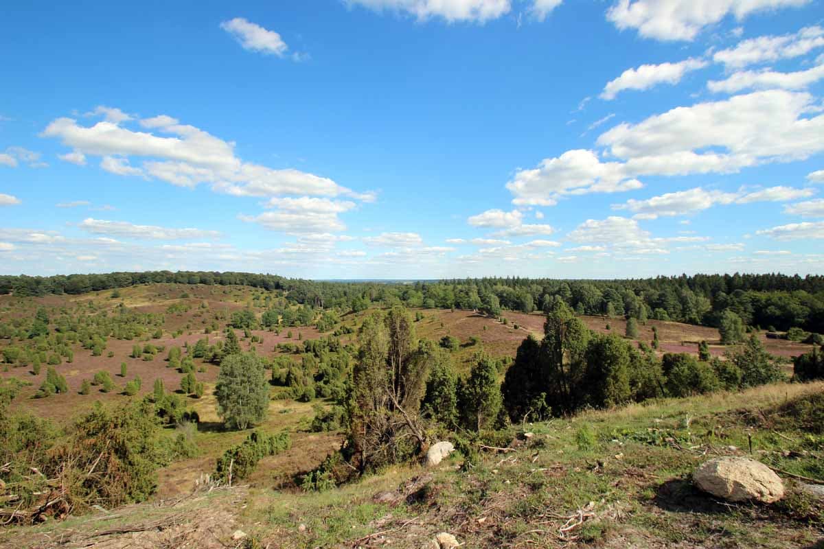 Lueneburger heide Sehenswuerdigkeit